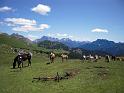 DOLOMITI2009 (119)